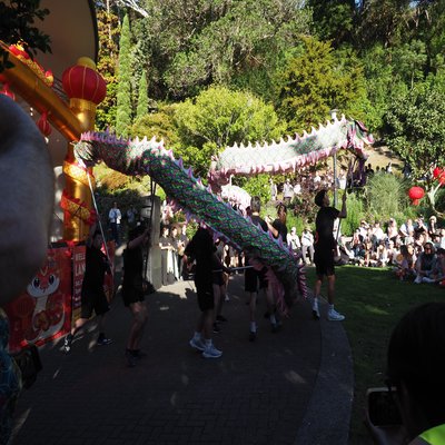 Dragon dancers from the Wgton Chinese Sports and Culture Centre
