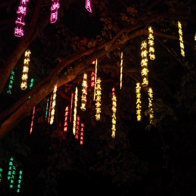 Brightly lit poems hanging from the trees